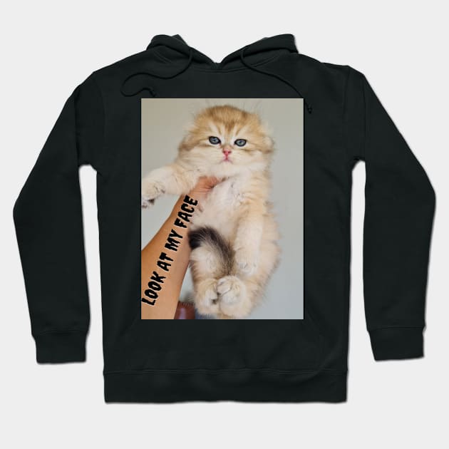 Handsome cats Hoodie by kunasin